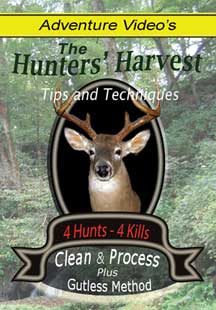 Deer Video